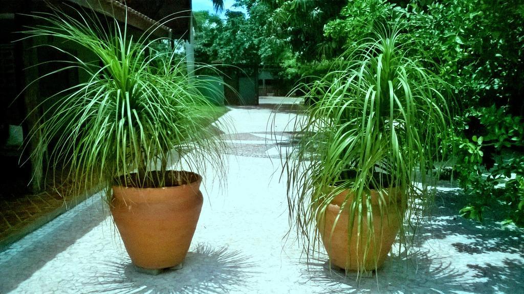 Diamante 賓館 Bonito (Mato Grosso do Sul)