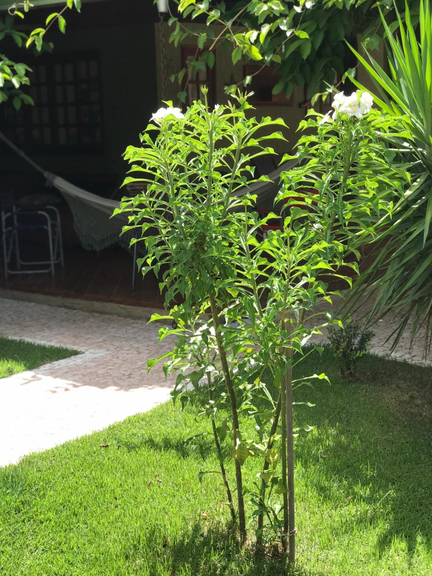 Inn Diamante 4*
